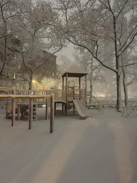 NYC in the snow 3 02/22/2026